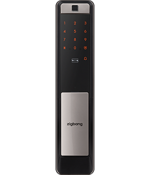 Samsung Zigbang SHS-1321 Digital Door Lock and Igloohome RM2 Gate Lock Bundle